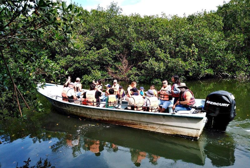 Esteros de Bahía de Banderas, estero El Salado