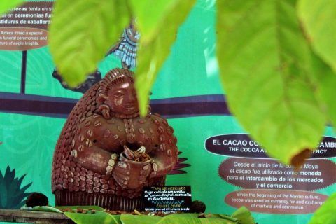 Planeta Cacao: el corazón de la tierra en Riviera Nayarit