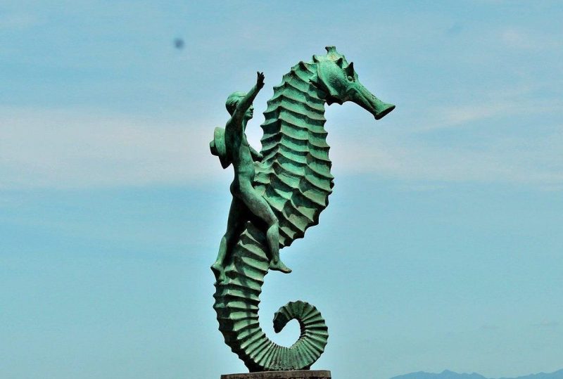 el caballito de mar