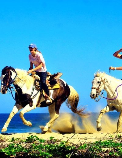 What to do in Puerto Vallarta