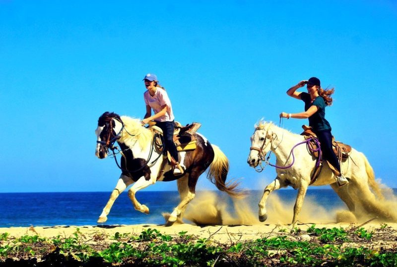 What to do in Puerto Vallarta