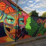 Murales de Puerto Vallarta, arte urbano que le da color y vida a la bahía