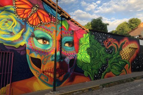 Murales de Puerto Vallarta, arte urbano que le da color y vida a la bahía