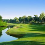 Golf en Riviera Nayarit:  8 campos de campeonato