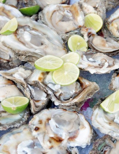 Gastronomía nayarita