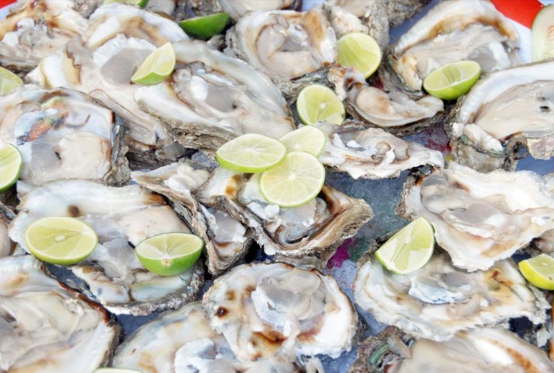 Gastronomía nayarita