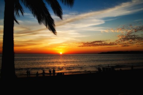 Puerto Vallarta, un oasis de libertad en el mundo