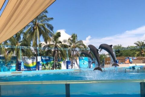 Aquaventuras, el lugar que nos hace sentir más vivos que nunca