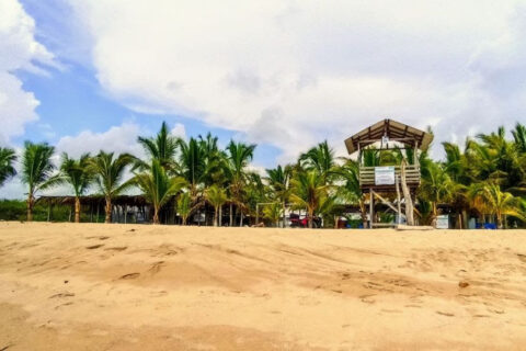 Escápate a Riviera Nayarit y libera tortugas en el campamento El Naranjo