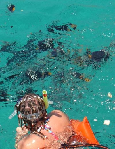 Invierno Riviera Nayarit