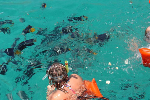 Invierno, un buen momento para viajar a la Riviera Nayarit