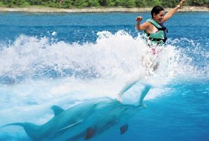 Read more about the article Disfruta de las mejores aventuras acuáticas en Cancún junto a Aquatours