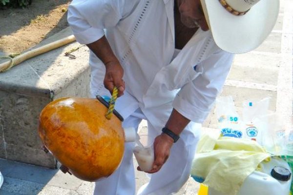 Descubre la Tuba: La bebida refrescante que conquista Puerto Vallarta