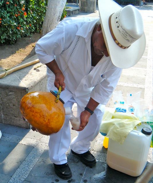 You are currently viewing Descubre la Tuba: La bebida refrescante que conquista Puerto Vallarta